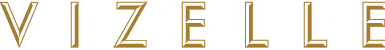Vizelle Logo